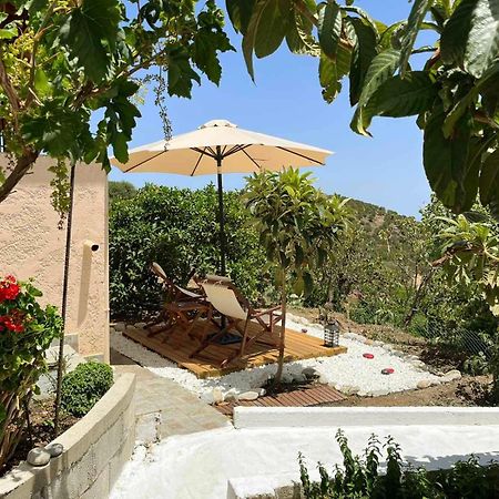 The Garden House, Sitia Sitia (Crete) Exterior foto